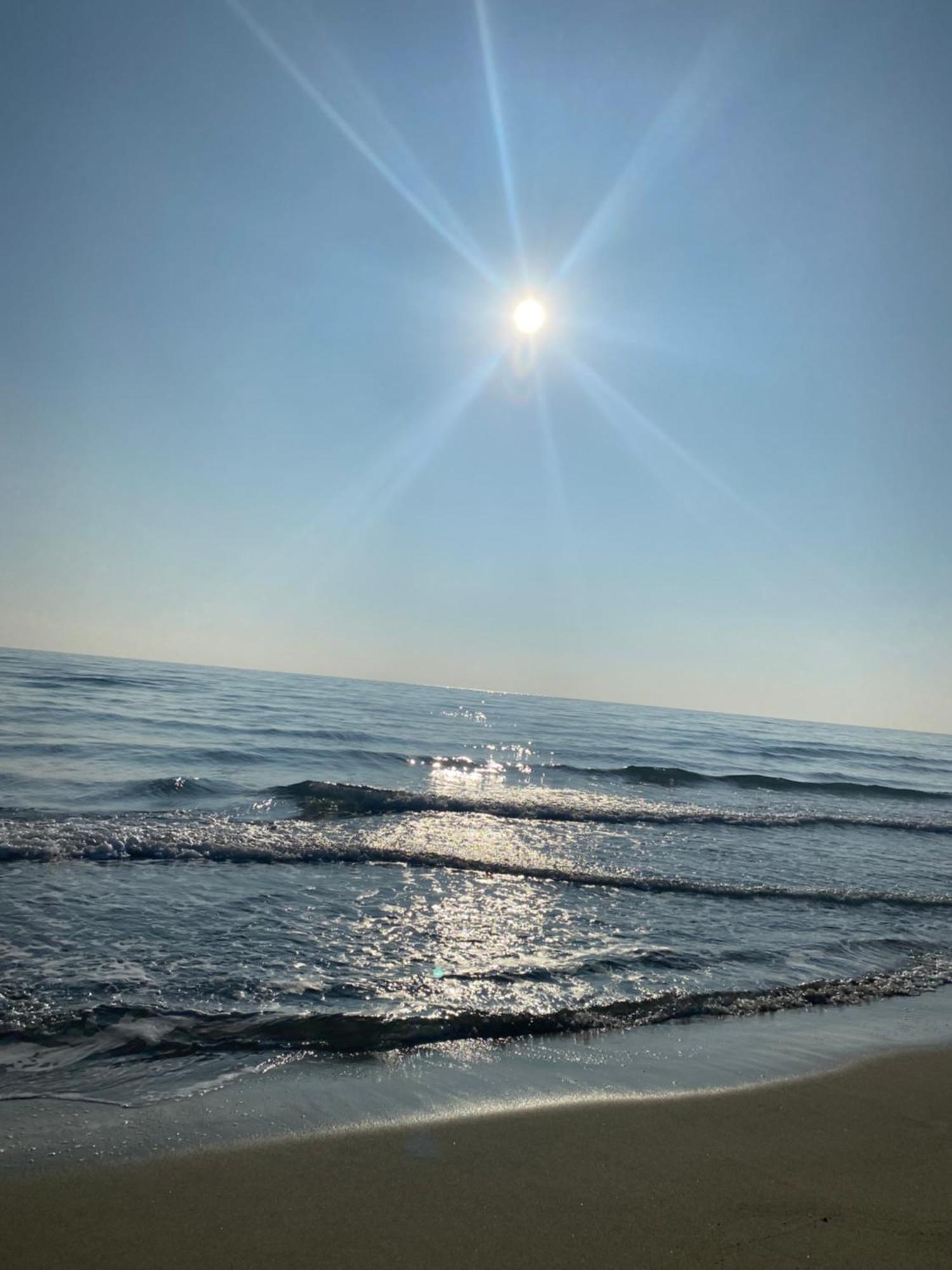 Hotel Saint Georges, Face A La Mer Canet-en-Roussillon Ngoại thất bức ảnh