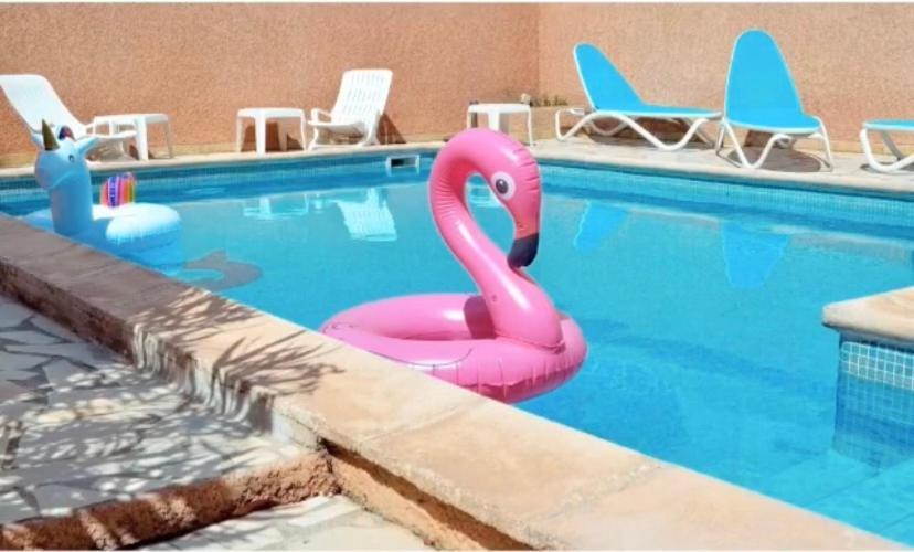 Hotel Saint Georges, Face A La Mer Canet-en-Roussillon Ngoại thất bức ảnh